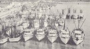 Shrimp Boats